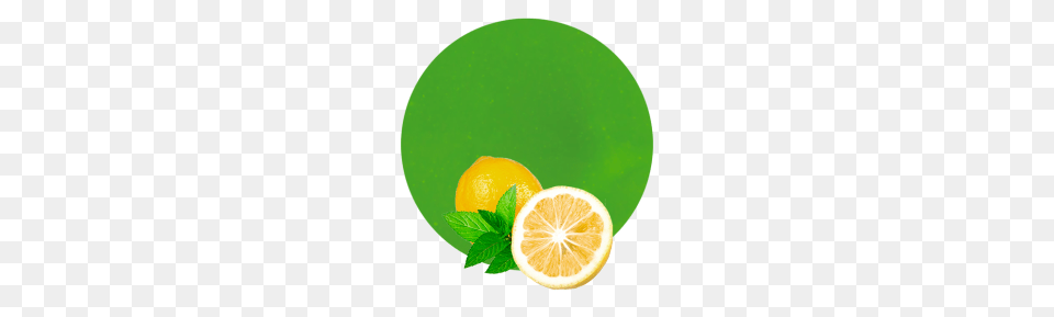 Lemon Mint Concentrate, Citrus Fruit, Plant, Orange, Fruit Free Png