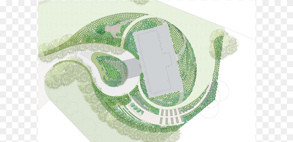 Lemon Myrtle And Damsons Plums Within The Bush Food Plan, Pattern Free Transparent Png