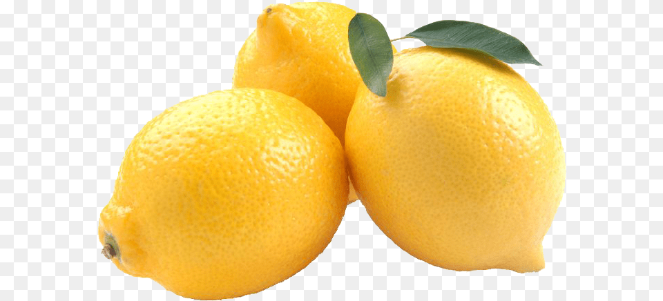 Lemon Photos Lemons, Citrus Fruit, Food, Fruit, Plant Free Png