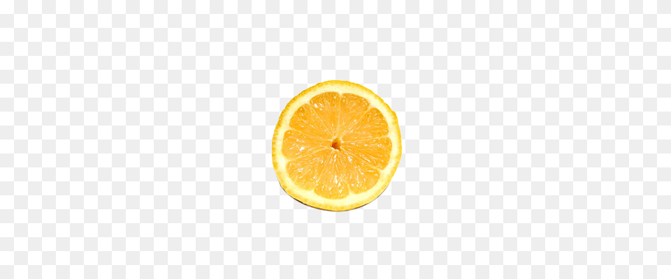 Lemon Slice, Citrus Fruit, Food, Fruit, Orange Free Png Download