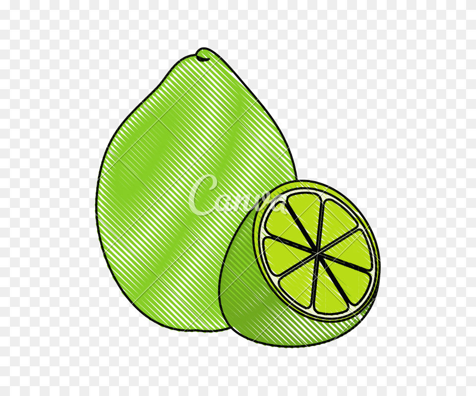 Lemon Slice, Plant, Leaf, Hat, Cap Free Transparent Png
