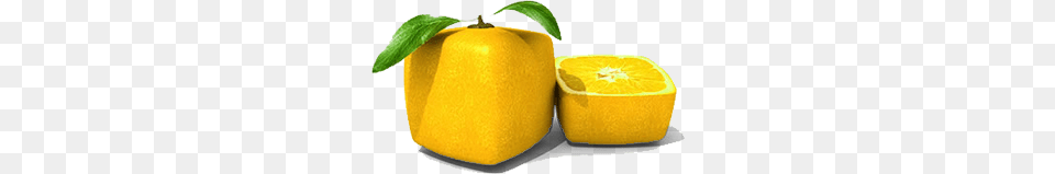 Lemon Slice Burning Fruit, Citrus Fruit, Food, Plant, Produce Png Image