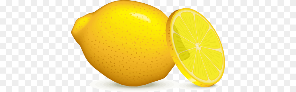 Lemon Slice Clip Art, Citrus Fruit, Food, Fruit, Plant Png