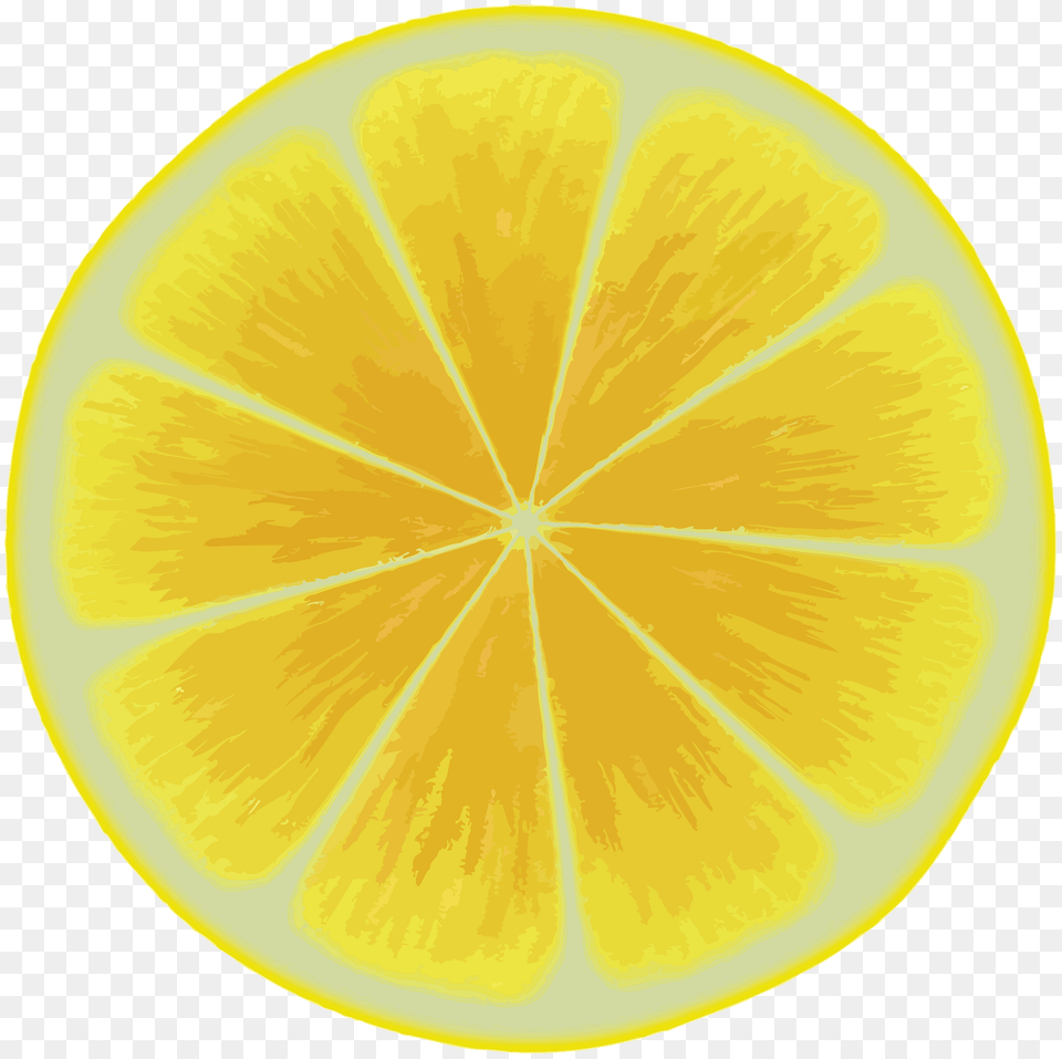 Lemon Slice Clipart, Citrus Fruit, Food, Fruit, Plant Free Transparent Png