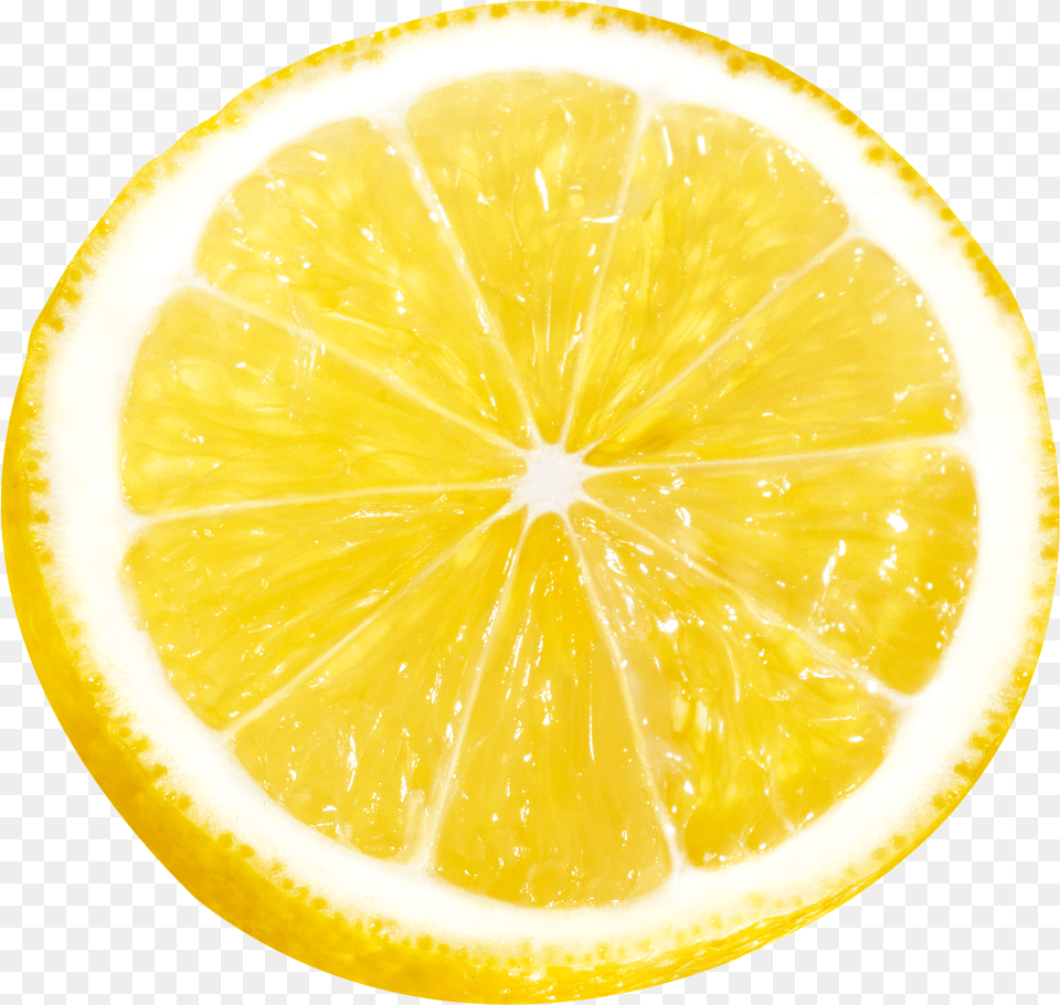 Lemon Slice Lemon Slice Lemon, Citrus Fruit, Food, Fruit, Orange Free Png