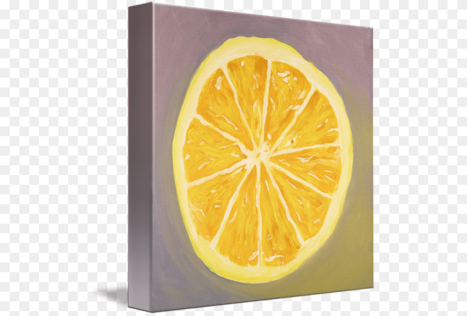 Lemon Slice Meyer Lemon, Citrus Fruit, Food, Fruit, Plant Free Png Download