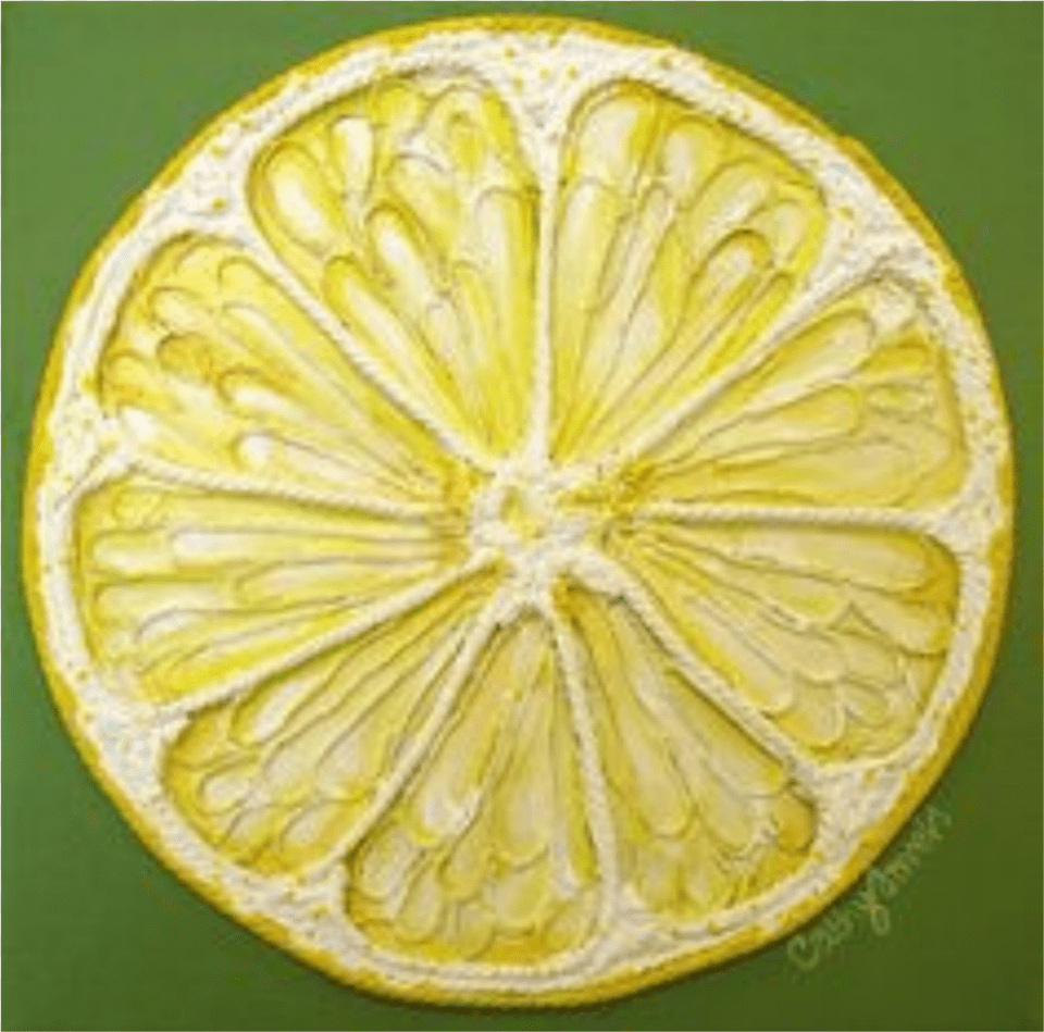 Lemon Slice Painting Png