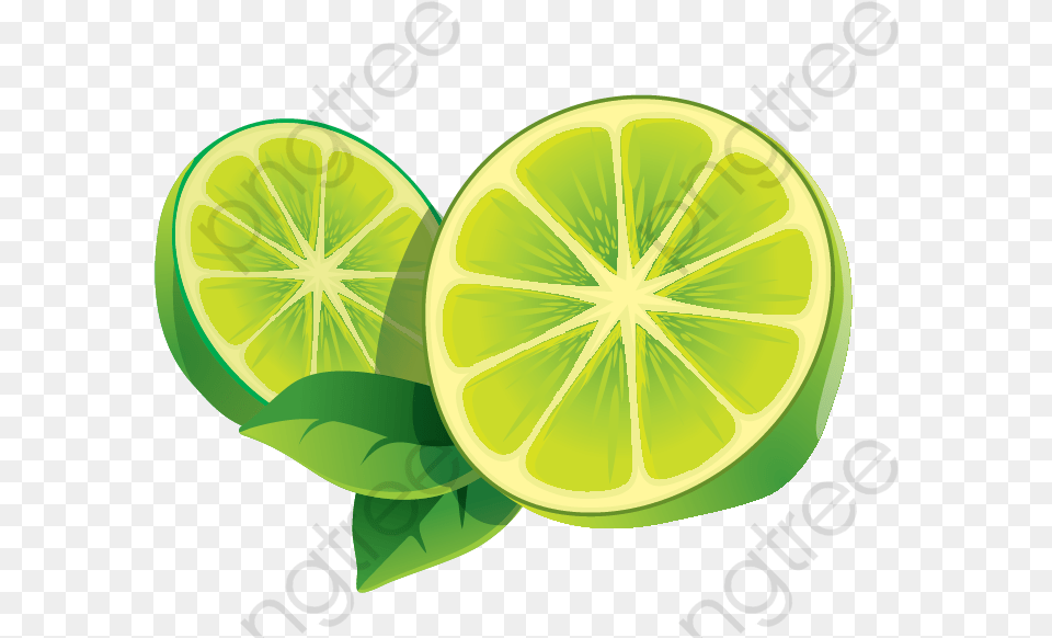 Lemon Slices Transparent Lemon Icon, Citrus Fruit, Food, Fruit, Lime Png Image