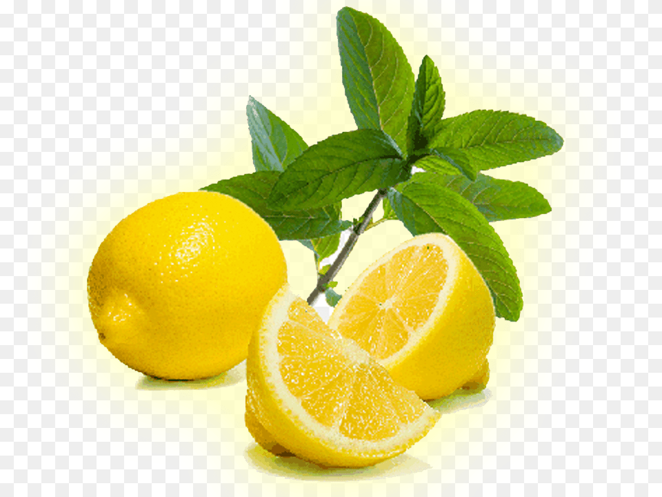 Lemon Suppliersmanufacturer And Exporters In Andhrapradesh, Citrus Fruit, Food, Fruit, Plant Free Png Download