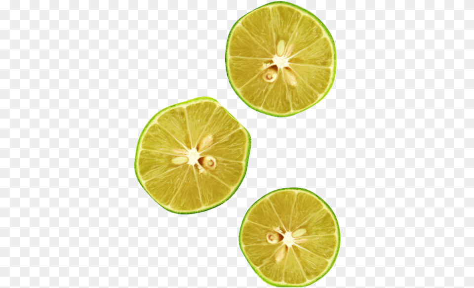 Lemon Top View U0026 Clipart Download Ywd Fruit Top View, Citrus Fruit, Food, Lime, Plant Free Transparent Png