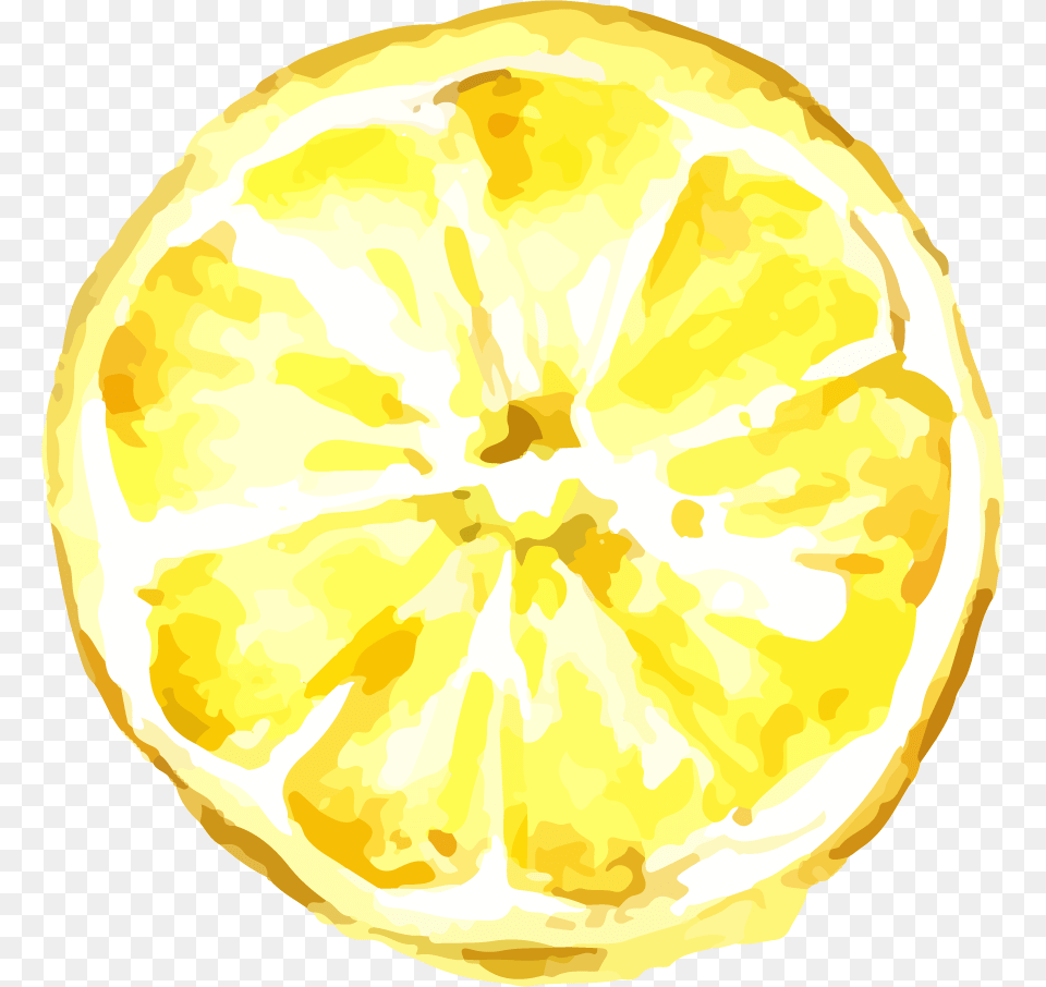 Lemon Transparent Image Amp Lemon Clipart Lemon Illustration, Citrus Fruit, Plant, Produce, Fruit Free Png Download