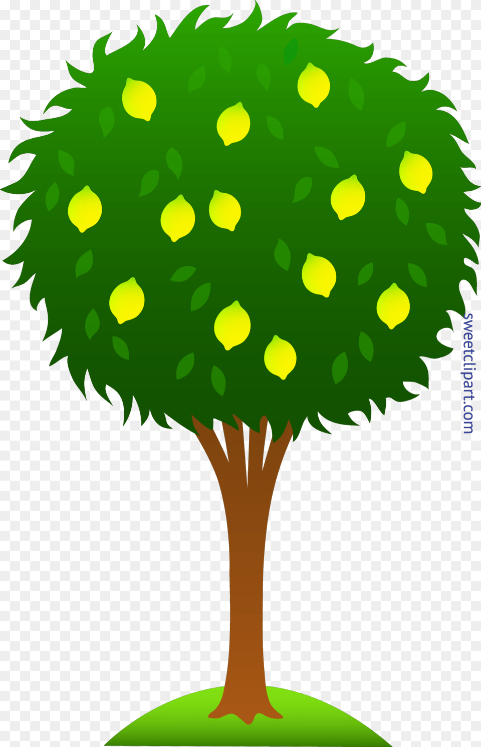 Lemon Tree Clip Art, Green, Plant, Sphere, Vegetation Png