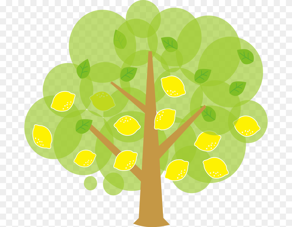 Lemon Tree Clipart Lemon Lemon Tree Clipart, Green, Leaf, Plant, Food Png