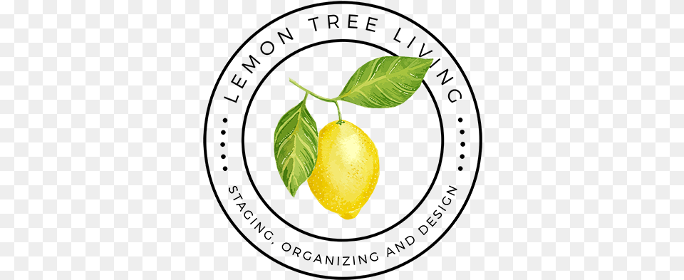 Lemon Tree Living Sweet Lemon, Citrus Fruit, Food, Fruit, Plant Png