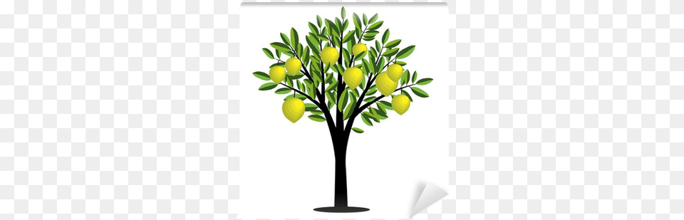 Lemon Tree Vector, Citrus Fruit, Food, Fruit, Plant Png
