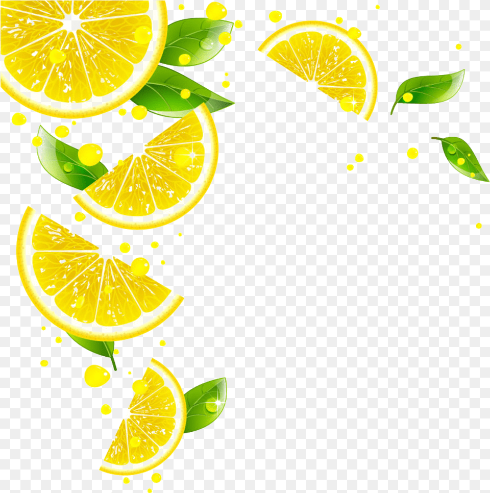 Lemon Vector Transparent Background Lemon Slice Lemon, Citrus Fruit, Food, Fruit, Lime Png