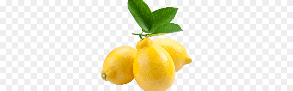 Lemon Web Icons, Citrus Fruit, Food, Fruit, Plant Free Png