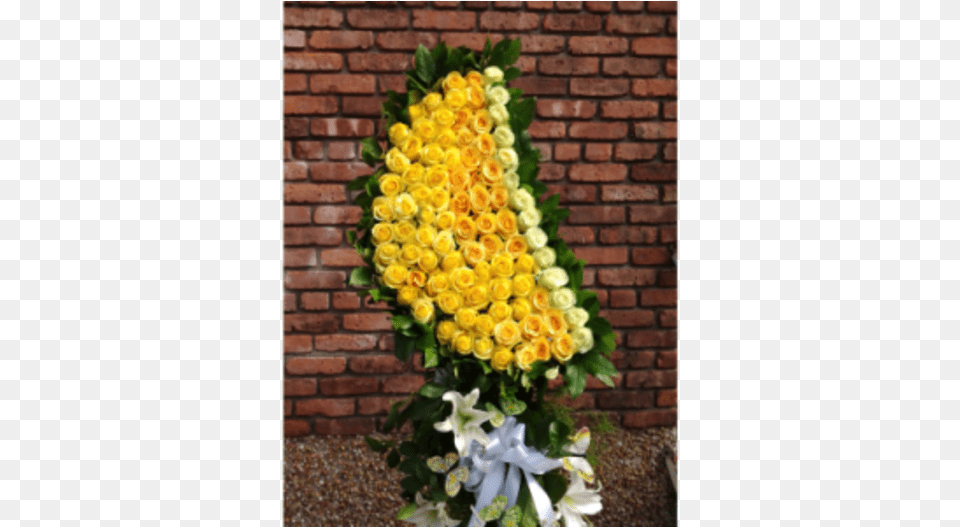 Lemon Wedge Bouquet, Art, Plant, Petal, Pattern Png Image