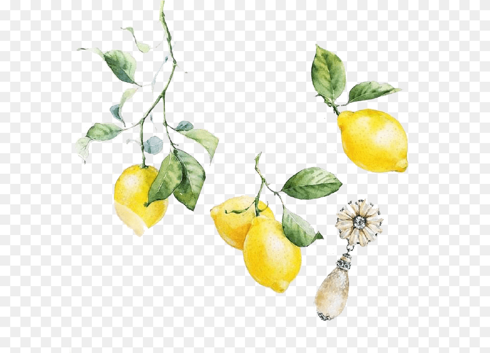 Lemon Yellow Lemon Clipart Watercolor, Citrus Fruit, Food, Fruit, Plant Free Transparent Png