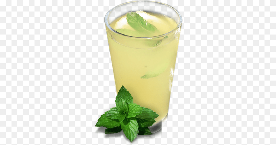 Lemonade, Plant, Herbs, Mint, Alcohol Free Png Download
