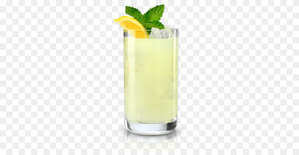 Lemonade, Beverage, Herbs, Plant, Mint Png