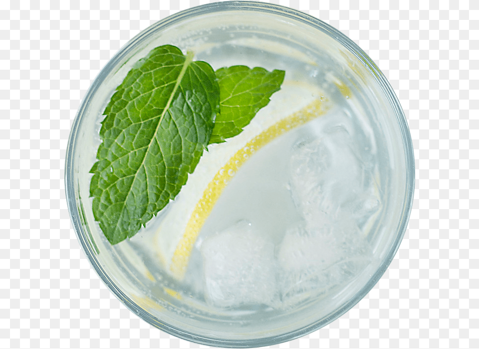 Lemonade Photo, Herbs, Mint, Plant, Plate Free Transparent Png