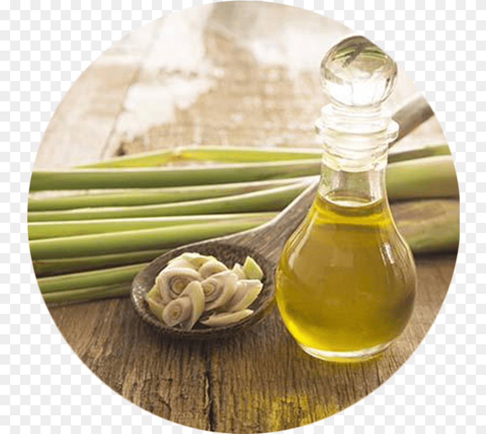 Lemongrass And Garlic As Mosquito Repellent, Cutlery, Spoon, Food Free Png