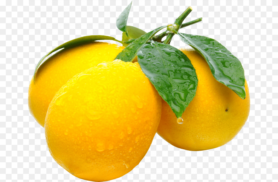 Lemons, Citrus Fruit, Food, Fruit, Grapefruit Free Png