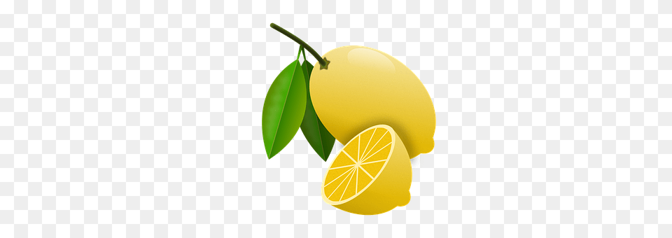Lemons Citrus Fruit, Food, Fruit, Lemon Free Png Download