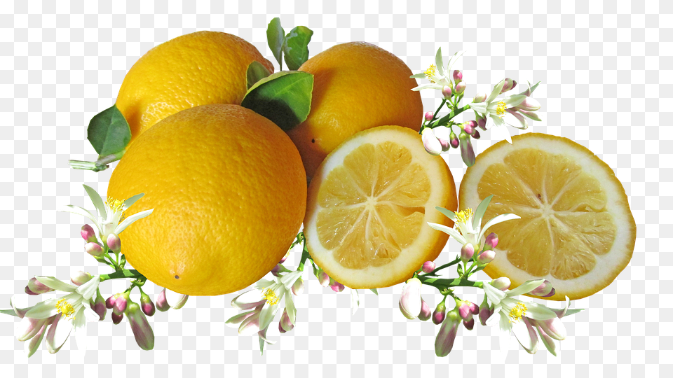 Lemons Citrus Fruit, Food, Fruit, Grapefruit Free Transparent Png