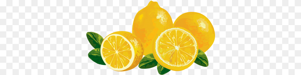 Lemons Background Transparent Vector Lemon, Citrus Fruit, Food, Fruit, Plant Free Png Download