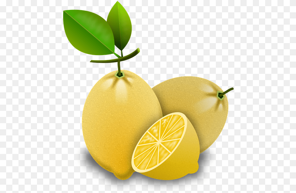 Lemons Citrus Fruits Jeruk Lemon Vektor, Citrus Fruit, Food, Fruit, Plant Png