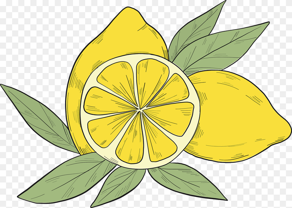 Lemons Clipart, Citrus Fruit, Food, Fruit, Produce Free Png Download