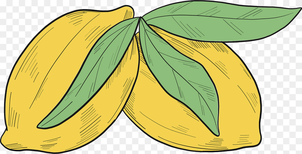 Lemons Clipart, Leaf, Food, Fruit, Produce Free Png