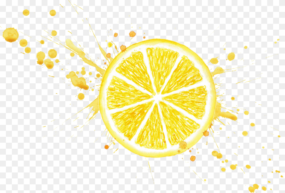 Lemonslice Lemon Lemonade Lemons Yellow Citrus Splatter Gold Splash, Citrus Fruit, Food, Fruit, Orange Free Transparent Png