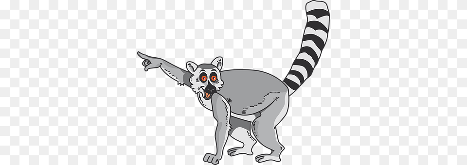 Lemur Animal, Mammal, Wildlife, Fish Png