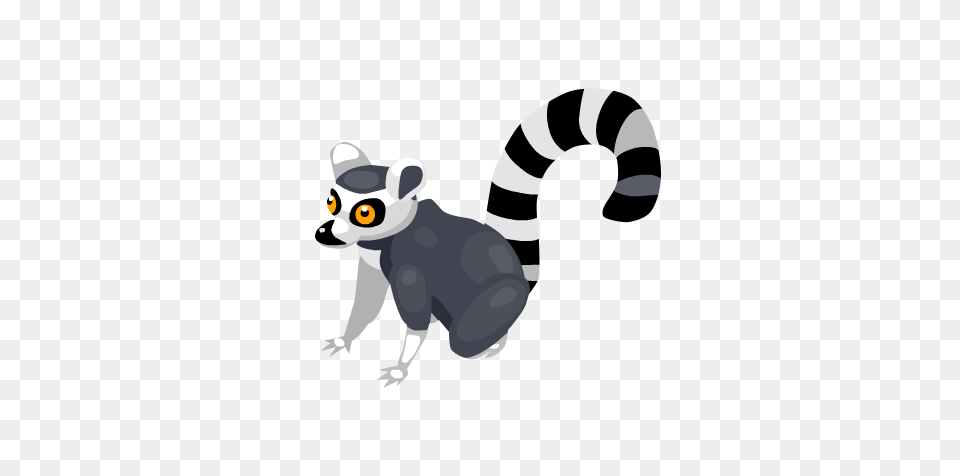 Lemur, Animal, Bear, Mammal, Wildlife Free Png