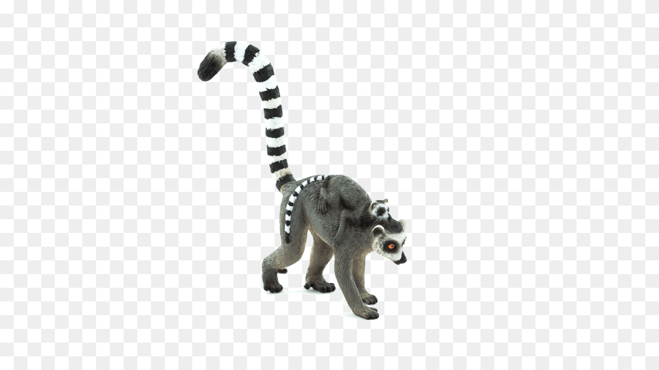 Lemur, Animal, Reptile, Snake, Mammal Free Transparent Png