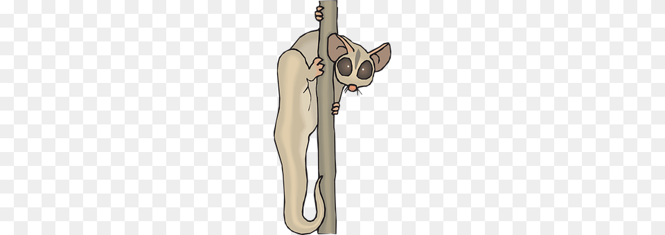 Lemur Animal, Wildlife, Mammal Png