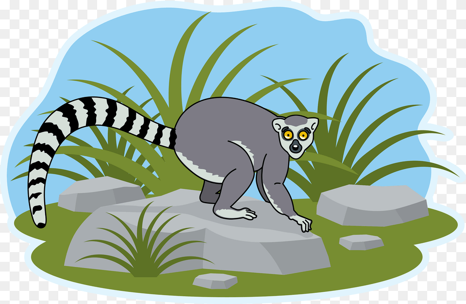 Lemur Clipart, Animal, Mammal, Wildlife, Plant Free Png Download