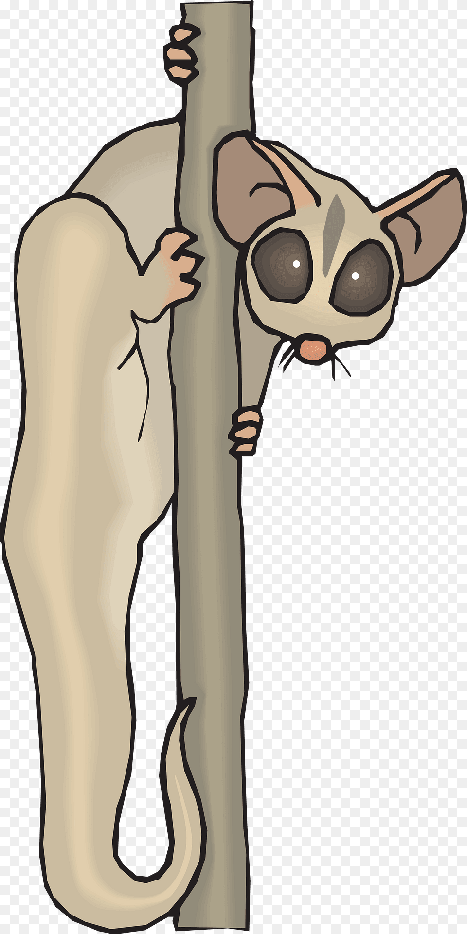 Lemur Clipart, Person, Animal, Wildlife, Face Free Transparent Png