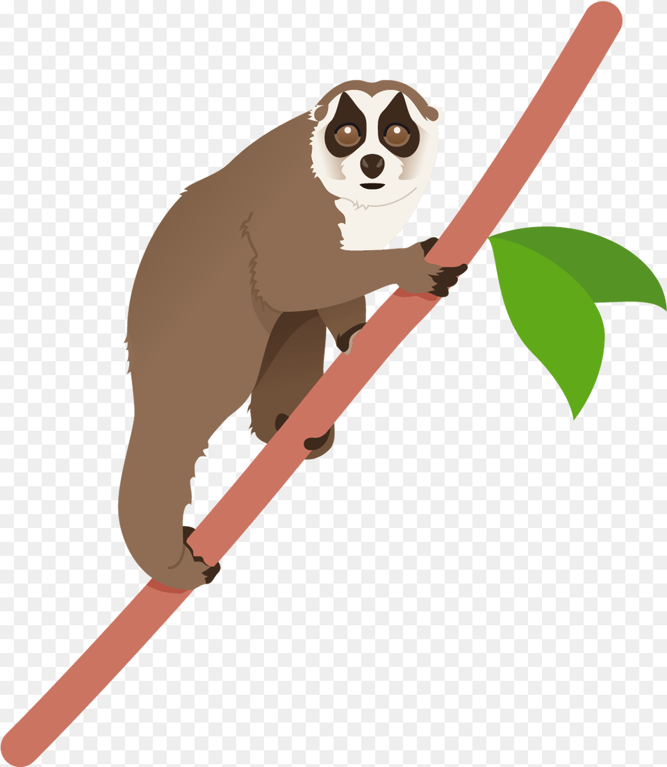 Lemur Poster Cartoon, Wildlife, Animal, Mammal, Person Png