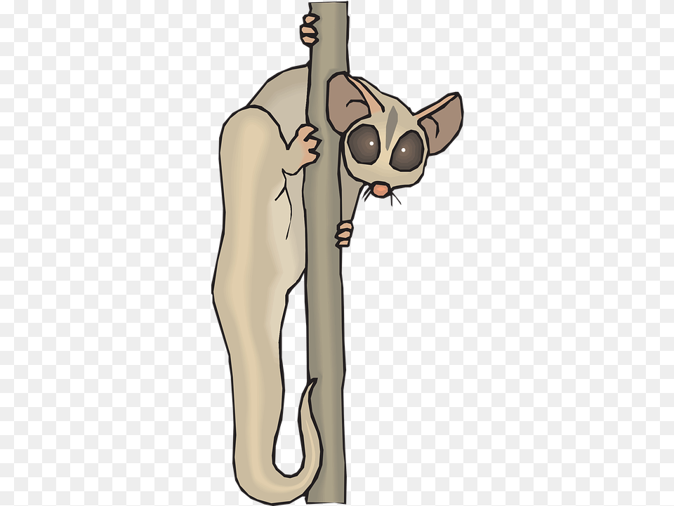Lemur Tree Plant Vector Graphic On Pixabay Cuscus Animal Clipart, Adult, Female, Person, Wildlife Free Png