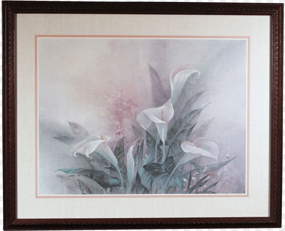 Lena Liu White Calla Lily Print, Art, Painting, Plant Free Transparent Png