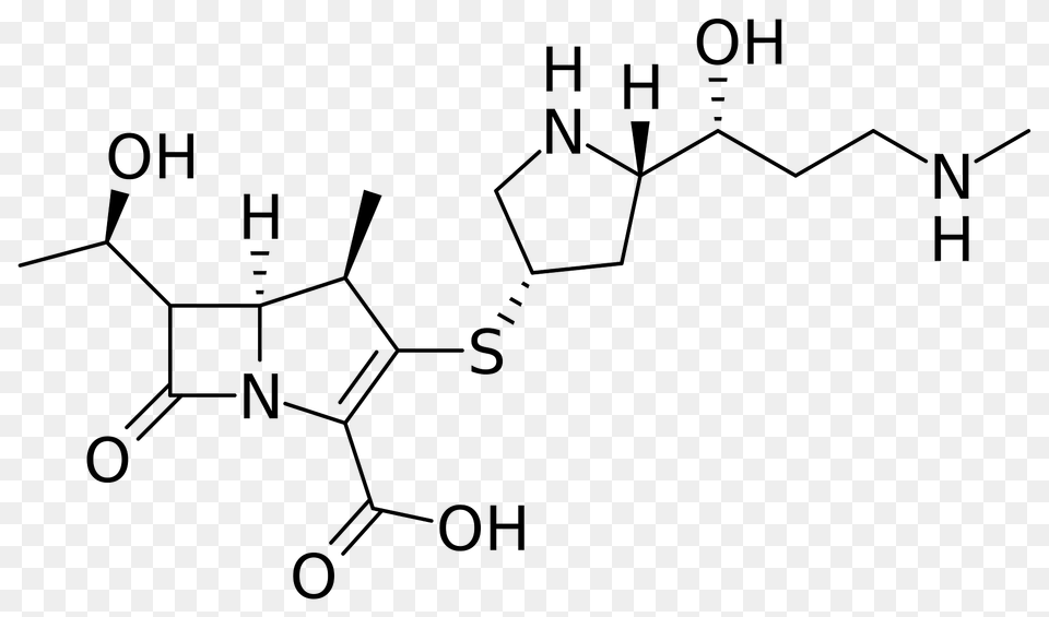Lenapenem Clipart, Diagram Free Png Download