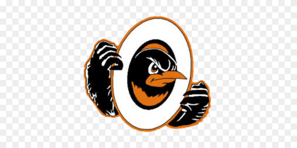 Lennox Orioles Logo, Animal, Beak, Bird, Clothing Png