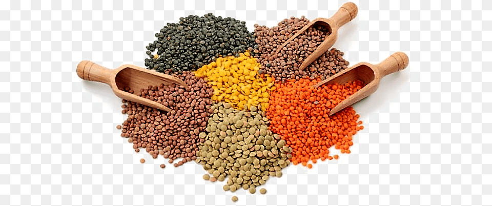 Lentils Transparent Lentils Raw, Bean, Food, Lentil, Plant Png Image