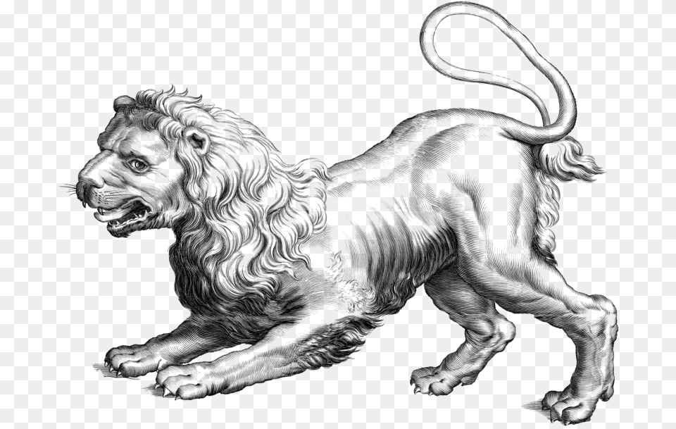 Leo Clipart Leo Zodiac Ancient, Art, Drawing Png Image