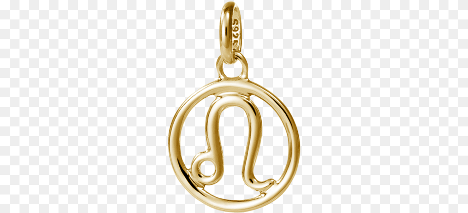 Leo Zodiac Image Gold, Accessories, Earring, Jewelry, Smoke Pipe Free Transparent Png
