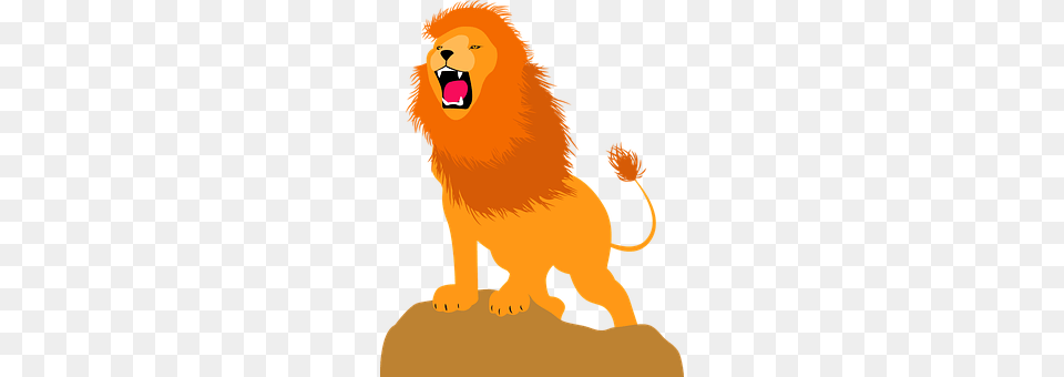 Leon Animal, Lion, Mammal, Wildlife Free Png Download
